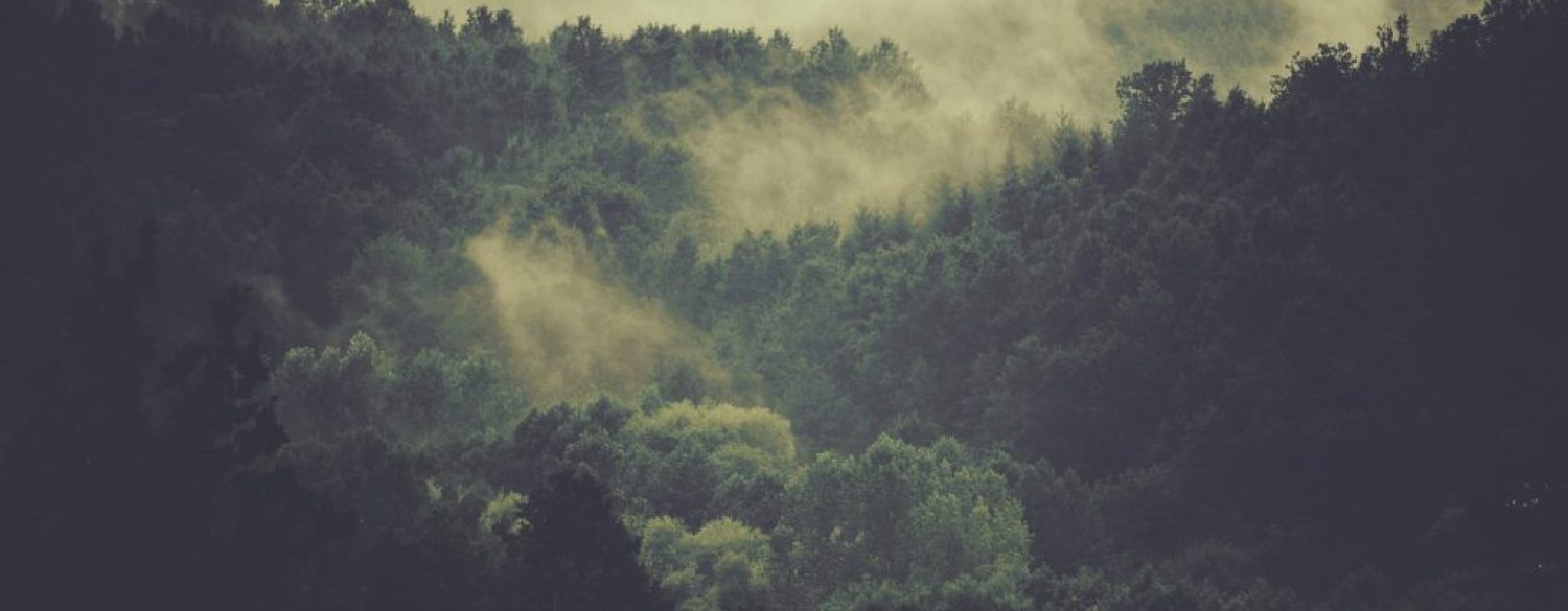 Boost your health and mobility with Neurokinetic Therapy in The New Forest