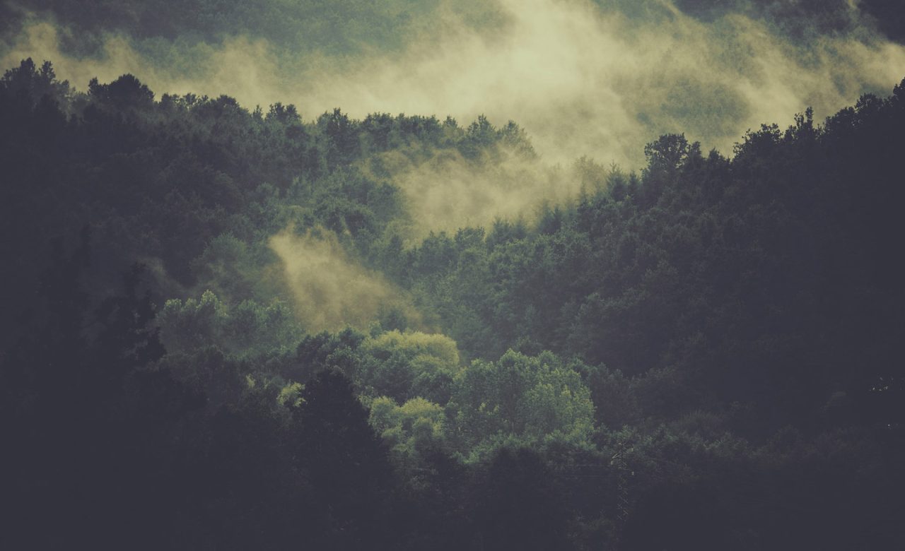 bg-footer
