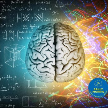 Neurological Integration: Why the Brain Holds the Key to Healing